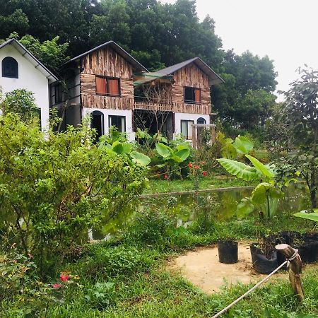 Stella Dong Lam Homestay Lang Ben Exterior foto